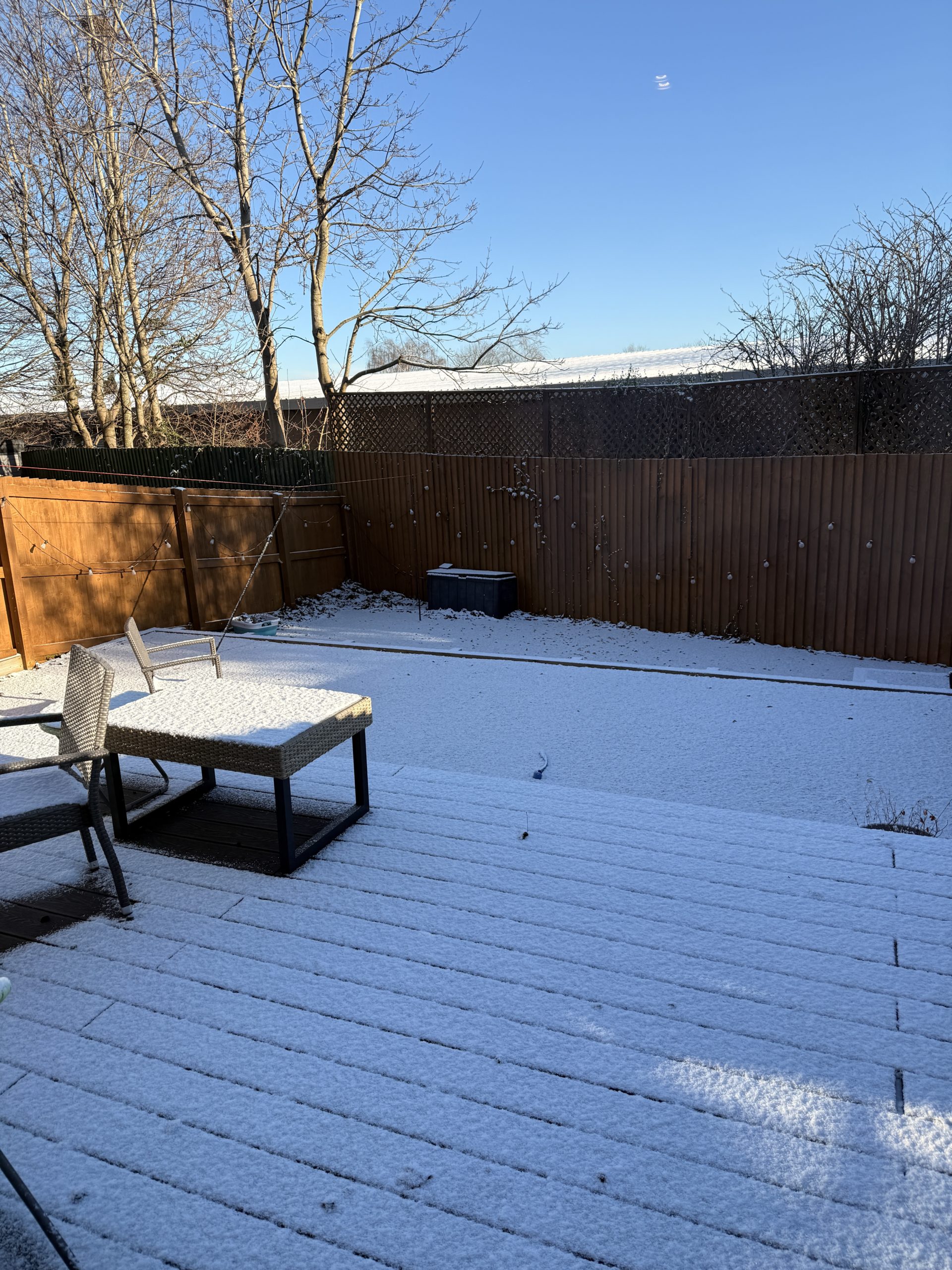 Our garden in winter